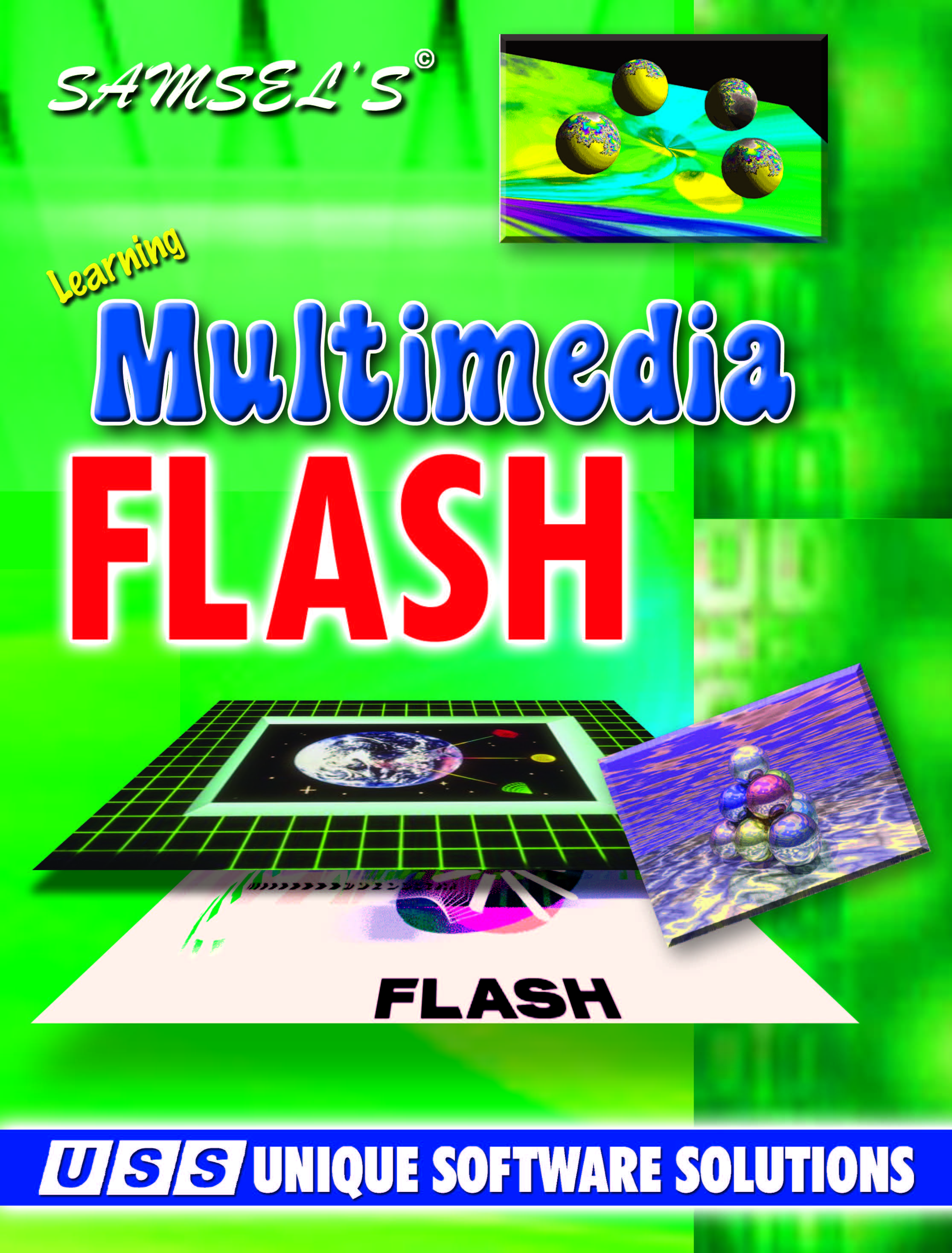 Multimedia Flash