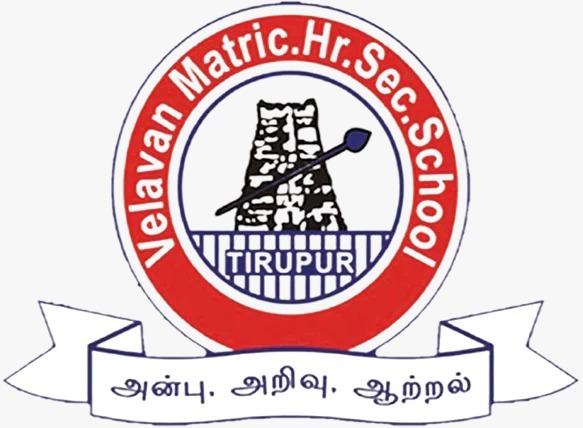 School 19